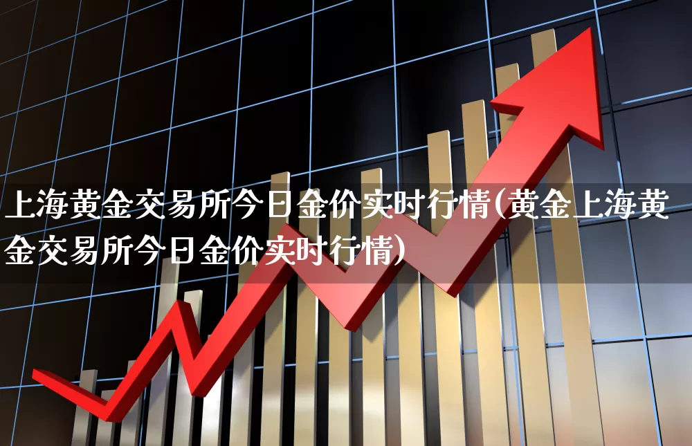 上海黄金交易所今日金价实时行情(黄金上海黄金交易所今日金价实时行情)_https://www.nalian8.com_北交所_第1张