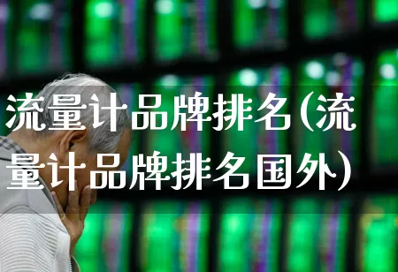 流量计品牌排名(流量计品牌排名国外)_https://www.nalian8.com_深交所_第1张