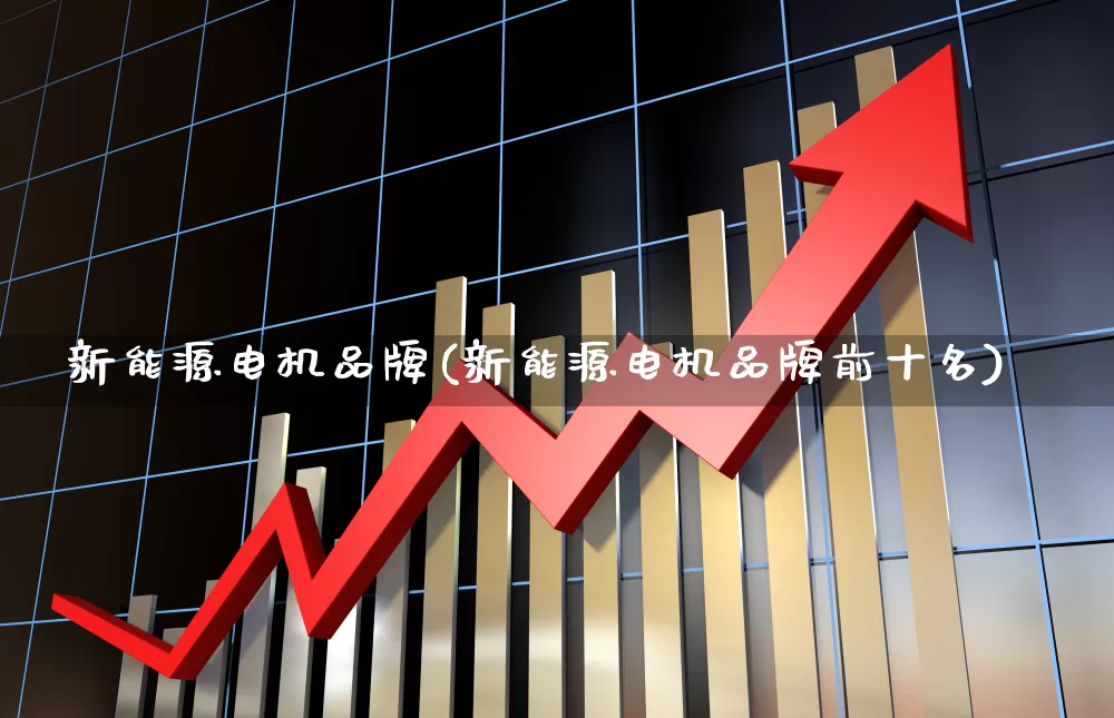 新能源电机品牌(新能源电机品牌前十名)_https://www.nalian8.com_北交所_第1张