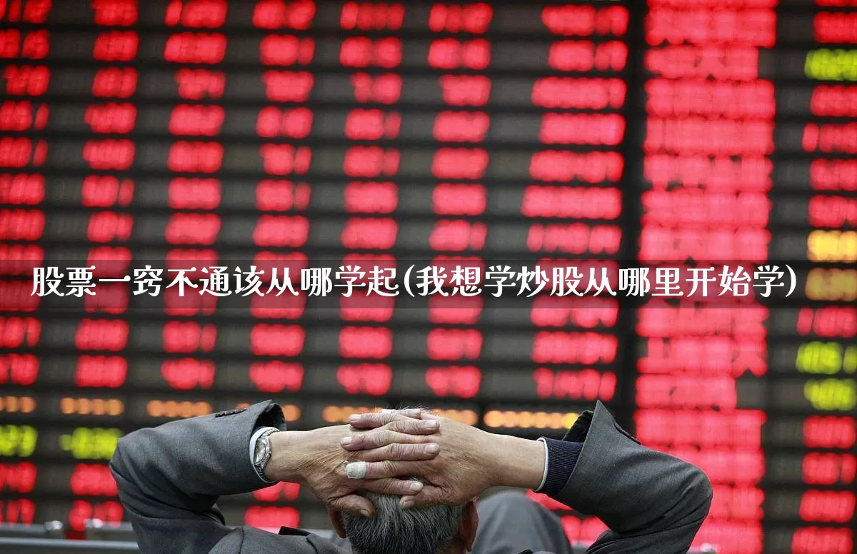 股票一窍不通该从哪学起(我想学炒股从哪里开始学)_https://www.nalian8.com_深交所_第1张