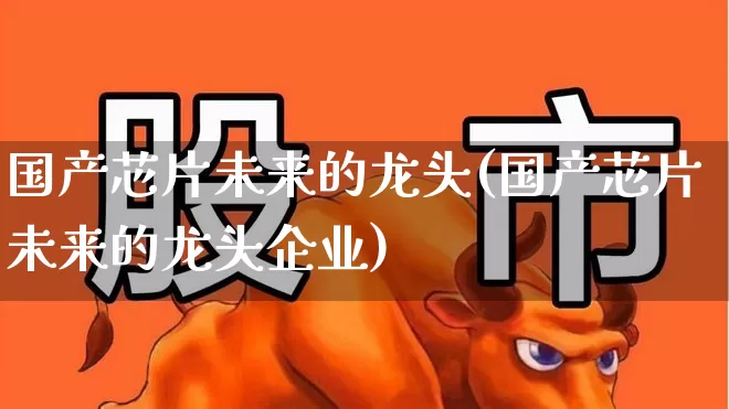 国产芯片未来的龙头(国产芯片未来的龙头企业)_https://www.nalian8.com_北交所_第1张