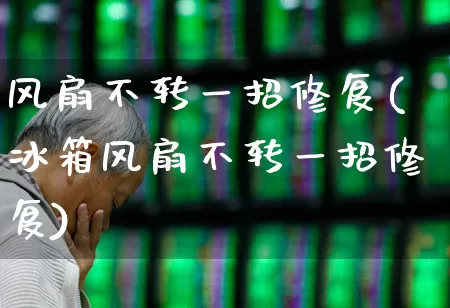 风扇不转一招修复(冰箱风扇不转一招修复)_https://www.nalian8.com_深交所_第1张