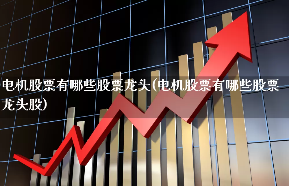 电机股票有哪些股票龙头(电机股票有哪些股票龙头股)_https://www.nalian8.com_创业板_第1张