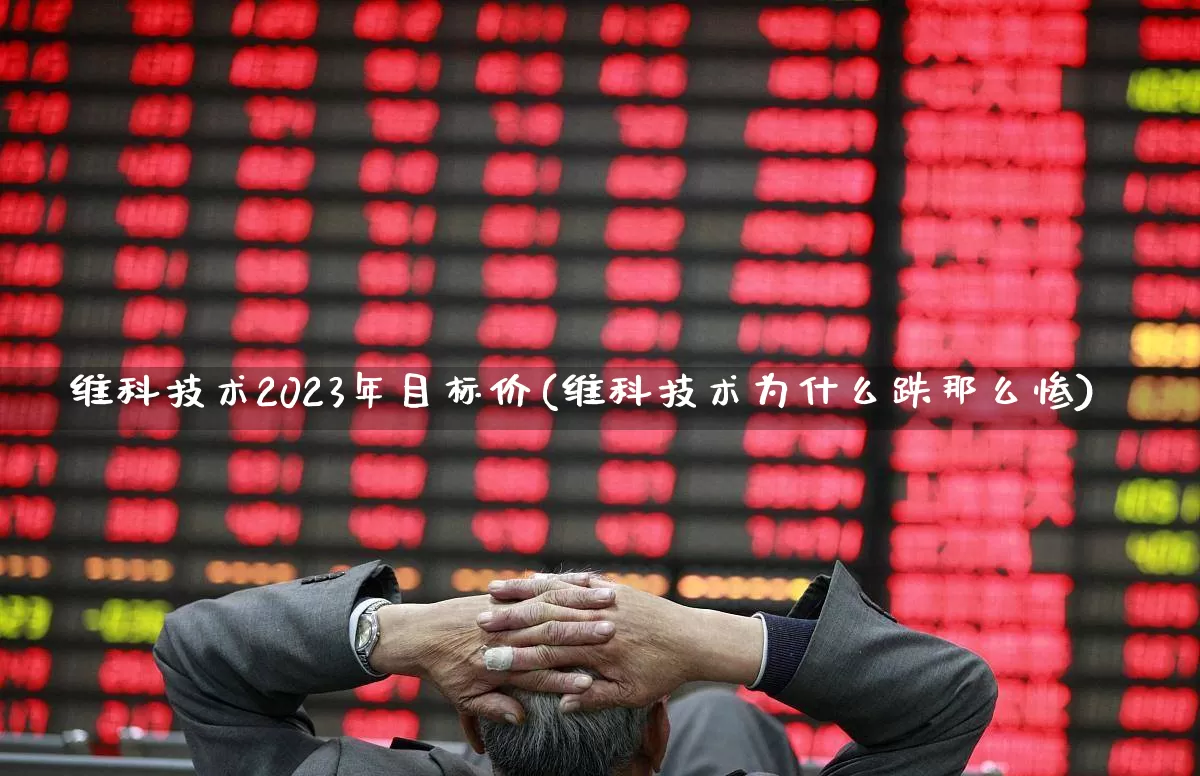 维科技术2023年目标价(维科技术为什么跌那么惨)_https://www.nalian8.com_上交所_第1张