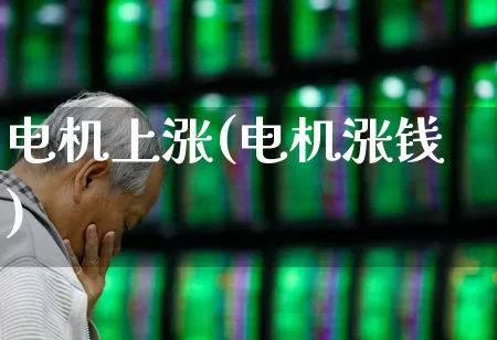 电机上涨(电机涨钱)_https://www.nalian8.com_科创板_第1张