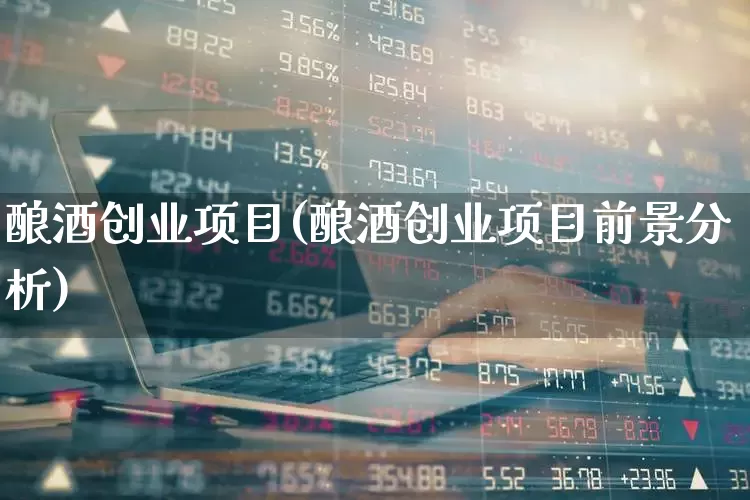 酿酒创业项目(酿酒创业项目前景分析)_https://www.nalian8.com_深交所_第1张