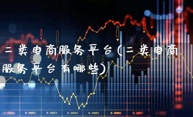 二类电商服务平台(二类电商服务平台有哪些)_https://www.nalian8.com_北交所_第1张