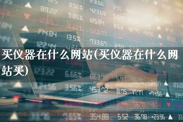 买仪器在什么网站(买仪器在什么网站买)_https://www.nalian8.com_上交所_第1张