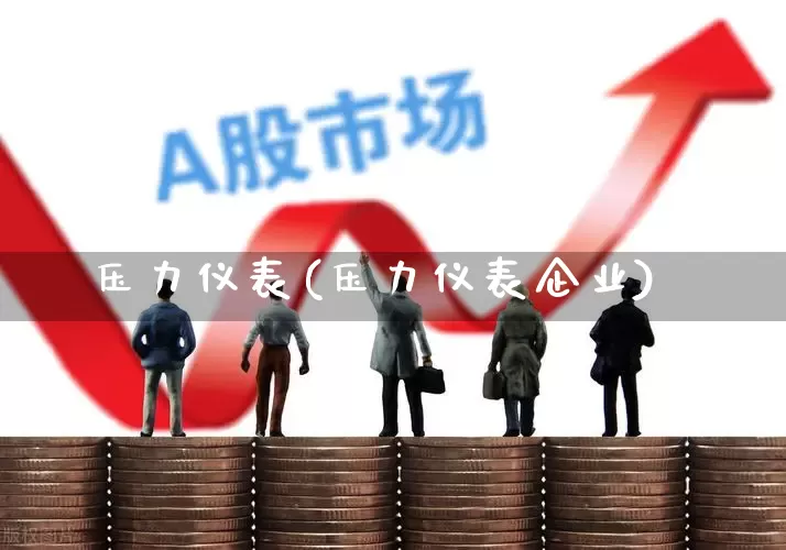 压力仪表(压力仪表企业)_https://www.nalian8.com_北交所_第1张