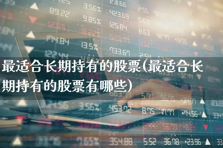 最适合长期持有的股票(最适合长期持有的股票有哪些)_https://www.nalian8.com_上交所_第1张