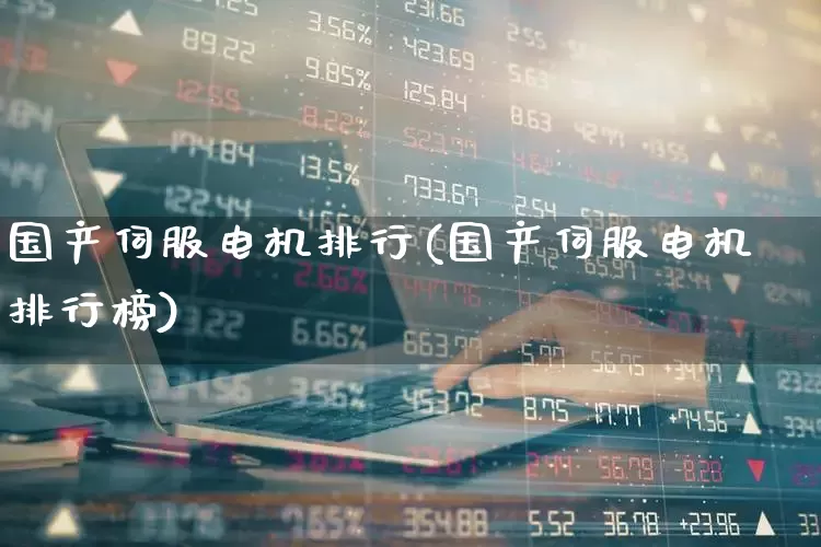 国产伺服电机排行(国产伺服电机排行榜)_https://www.nalian8.com_深交所_第1张