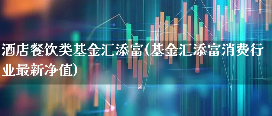 酒店餐饮类基金汇添富(基金汇添富消费行业最新净值)_https://www.nalian8.com_深交所_第1张
