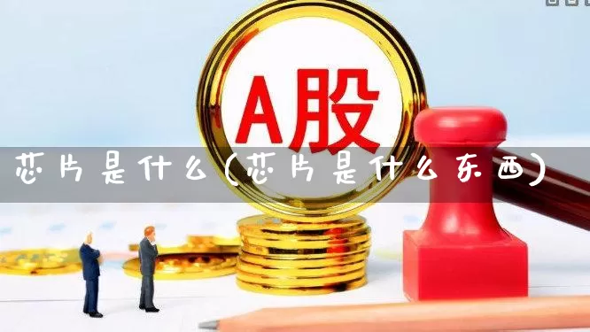 芯片是什么(芯片是什么东西)_https://www.nalian8.com_科创板_第1张