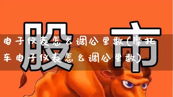 电子仪表怎么调公里数(摩托车电子仪表怎么调公里数)_https://www.nalian8.com_北交所_第1张