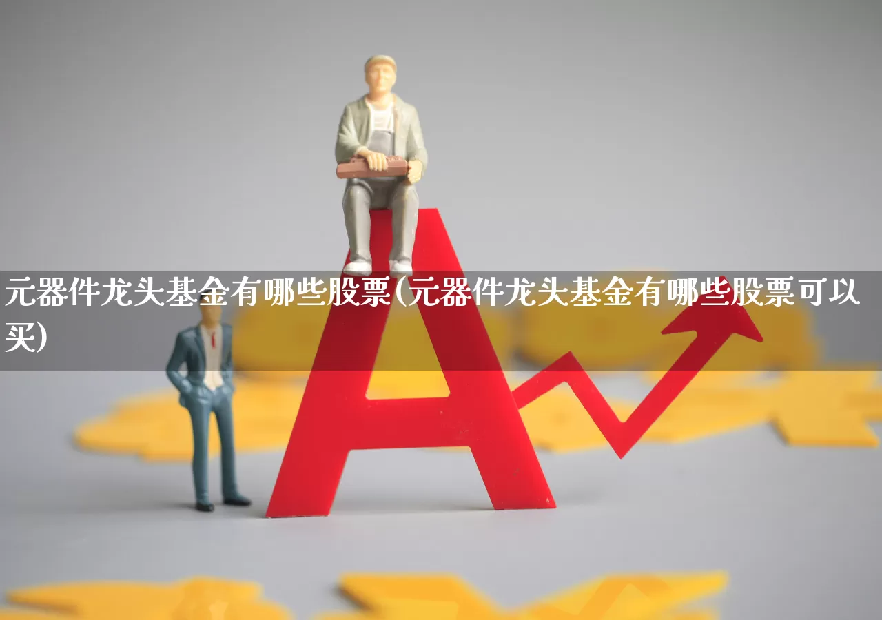 元器件龙头基金有哪些股票(元器件龙头基金有哪些股票可以买)_https://www.nalian8.com_科创板_第1张