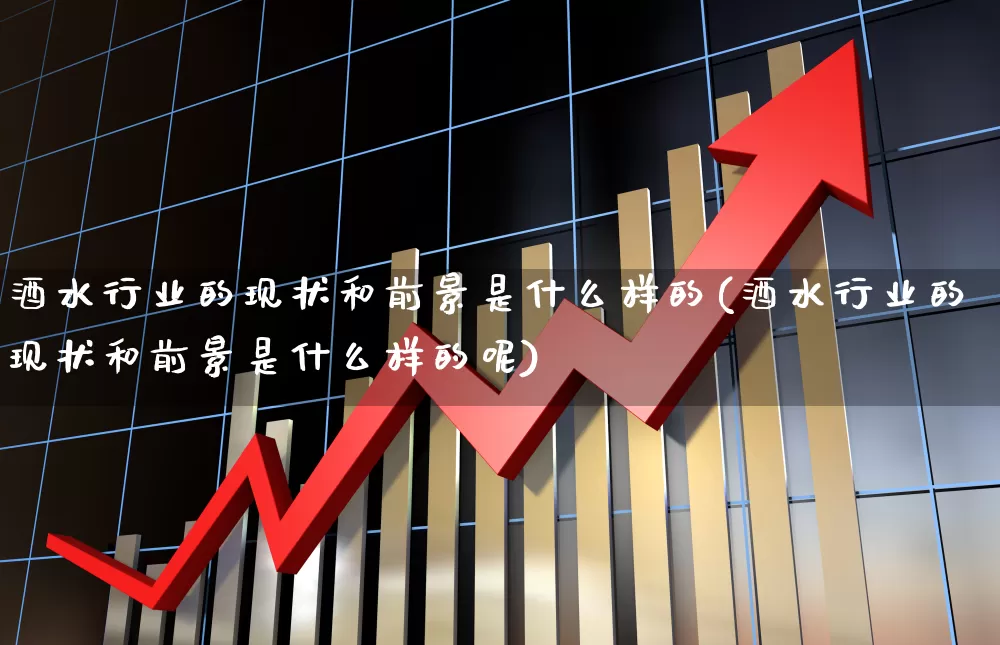 酒水行业的现状和前景是什么样的(酒水行业的现状和前景是什么样的呢)_https://www.nalian8.com_北交所_第1张