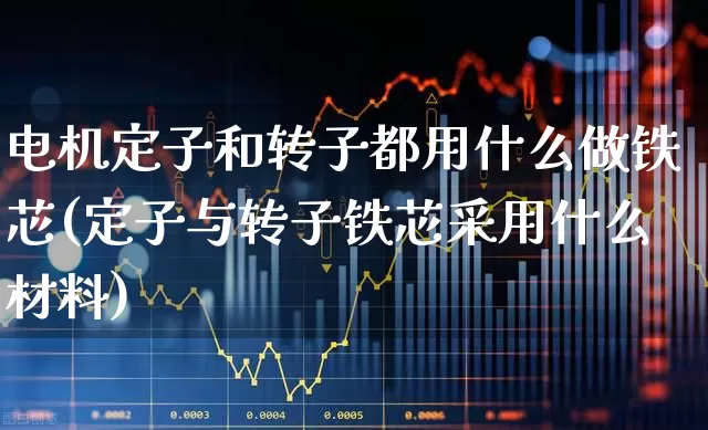 电机定子和转子都用什么做铁芯(定子与转子铁芯采用什么材料)_https://www.nalian8.com_北交所_第1张