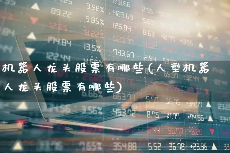机器人龙头股票有哪些(人型机器人龙头股票有哪些)_https://www.nalian8.com_北交所_第1张