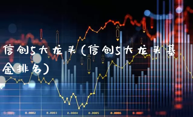 信创5大龙头(信创5大龙头基金排名)_https://www.nalian8.com_上交所_第1张