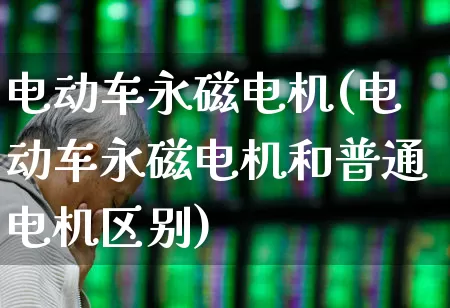 电动车永磁电机(电动车永磁电机和普通电机区别)_https://www.nalian8.com_科创板_第1张