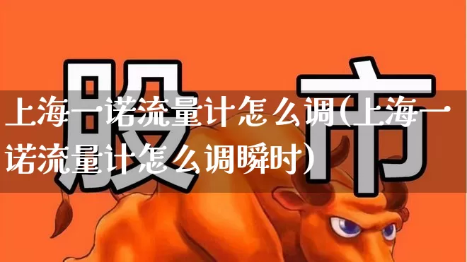 上海一诺流量计怎么调(上海一诺流量计怎么调瞬时)_https://www.nalian8.com_深交所_第1张