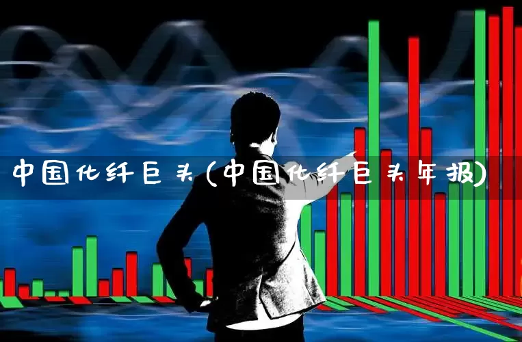 中国化纤巨头(中国化纤巨头年报)_https://www.nalian8.com_深交所_第1张