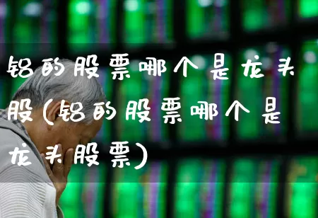 铝的股票哪个是龙头股(铝的股票哪个是龙头股票)_https://www.nalian8.com_北交所_第1张