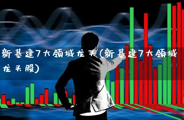 新基建7大领域龙头(新基建7大领域龙头股)_https://www.nalian8.com_深交所_第1张