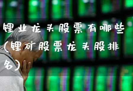 锂业龙头股票有哪些(锂矿股票龙头股排名)_https://www.nalian8.com_科创板_第1张