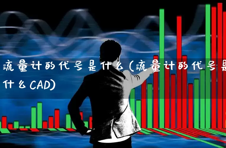 流量计的代号是什么(流量计的代号是什么CAD)_https://www.nalian8.com_创业板_第1张