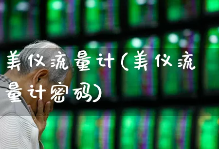 美仪流量计(美仪流量计密码)_https://www.nalian8.com_北交所_第1张