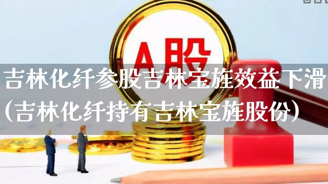 吉林化纤参股吉林宝旌效益下滑(吉林化纤持有吉林宝旌股份)_https://www.nalian8.com_科创板_第1张