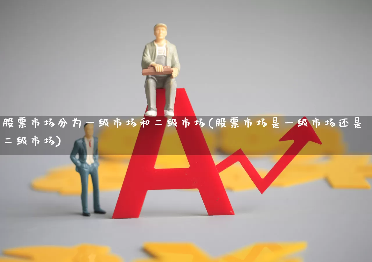 股票市场分为一级市场和二级市场(股票市场是一级市场还是二级市场)_https://www.nalian8.com_深交所_第1张