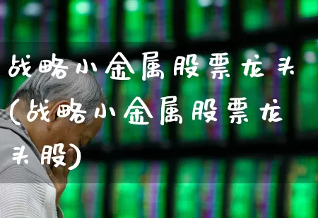 战略小金属股票龙头(战略小金属股票龙头股)_https://www.nalian8.com_上交所_第1张
