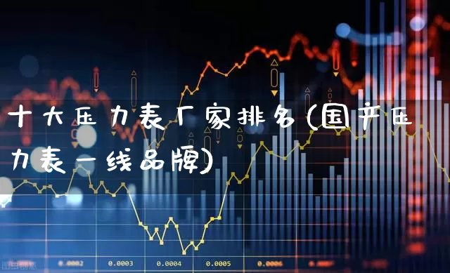 十大压力表厂家排名(国产压力表一线品牌)_https://www.nalian8.com_北交所_第1张
