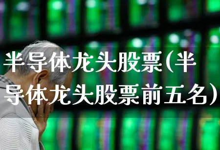 半导体龙头股票(半导体龙头股票前五名)_https://www.nalian8.com_科创板_第1张