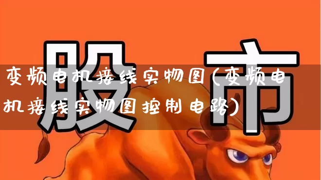 变频电机接线实物图(变频电机接线实物图控制电路)_https://www.nalian8.com_科创板_第1张