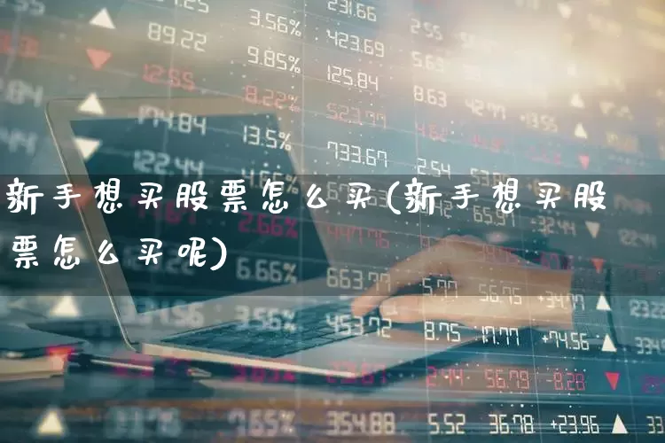 新手想买股票怎么买(新手想买股票怎么买呢)_https://www.nalian8.com_上交所_第1张