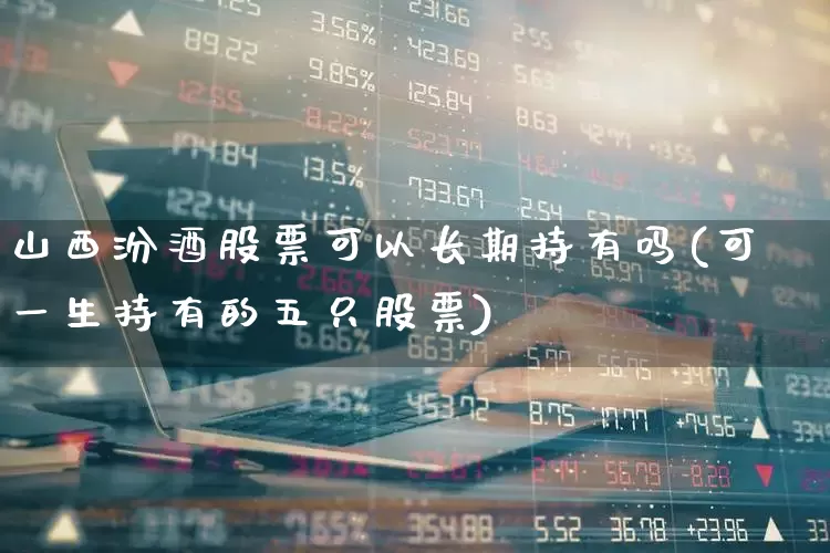 山西汾酒股票可以长期持有吗(可一生持有的五只股票)_https://www.nalian8.com_创业板_第1张