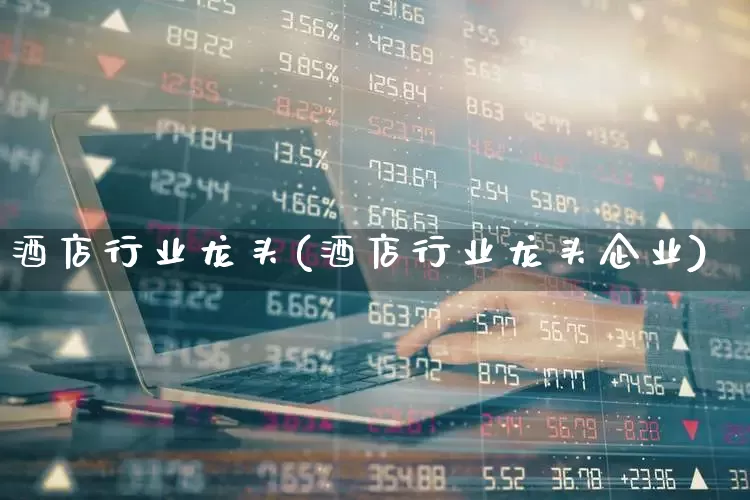 酒店行业龙头(酒店行业龙头企业)_https://www.nalian8.com_北交所_第1张