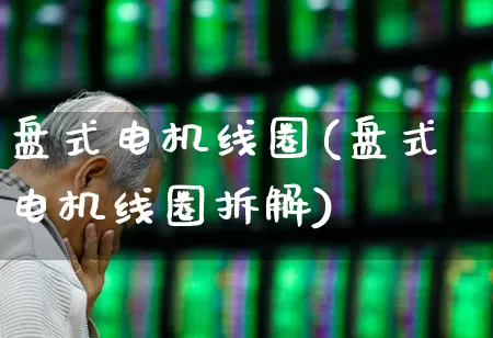 盘式电机线圈(盘式电机线圈拆解)_https://www.nalian8.com_深交所_第1张