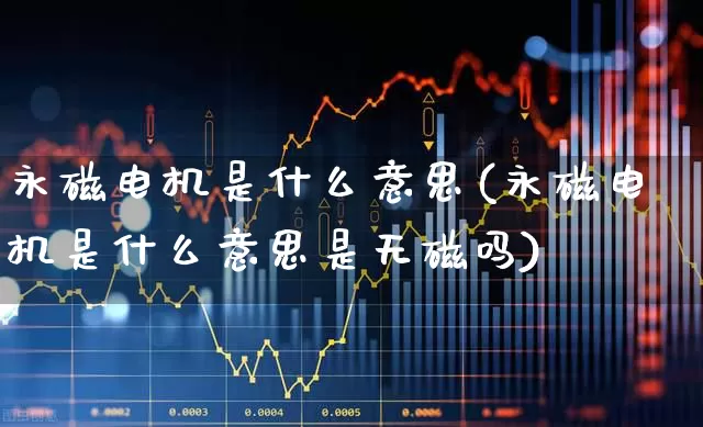 永磁电机是什么意思(永磁电机是什么意思是无磁吗)_https://www.nalian8.com_北交所_第1张