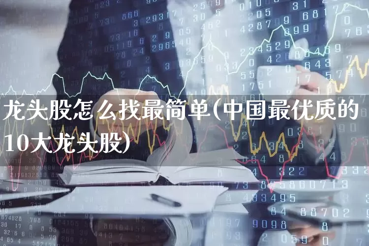 龙头股怎么找最简单(中国最优质的10大龙头股)_https://www.nalian8.com_深交所_第1张