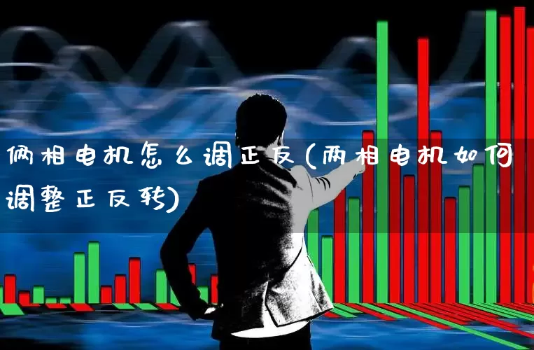 俩相电机怎么调正反(两相电机如何调整正反转)_https://www.nalian8.com_创业板_第1张
