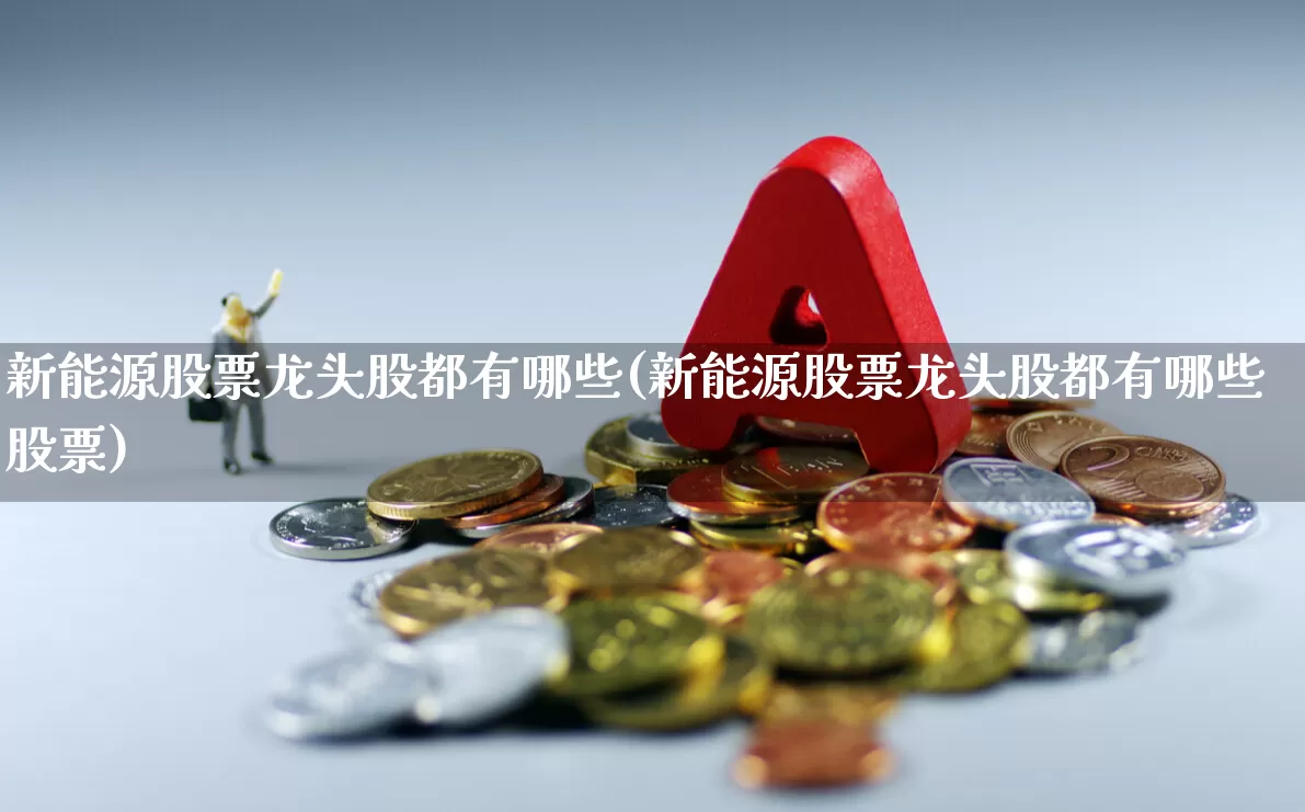 新能源股票龙头股都有哪些(新能源股票龙头股都有哪些股票)_https://www.nalian8.com_北交所_第1张