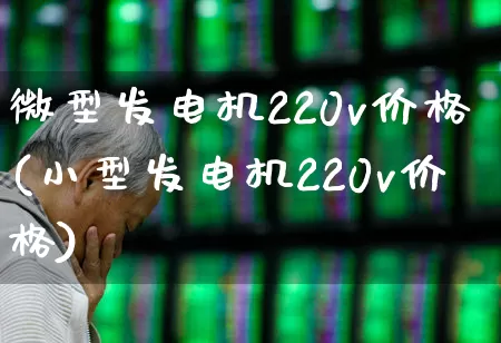 微型发电机220v价格(小型发电机220v价格)_https://www.nalian8.com_上交所_第1张