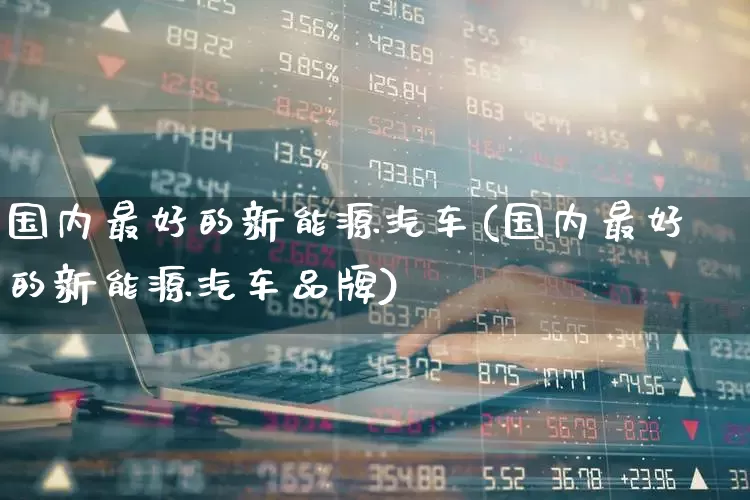 国内最好的新能源汽车(国内最好的新能源汽车品牌)_https://www.nalian8.com_上交所_第1张