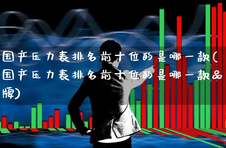 国产压力表排名前十位的是哪一款(国产压力表排名前十位的是哪一款品牌)_https://www.nalian8.com_科创板_第1张