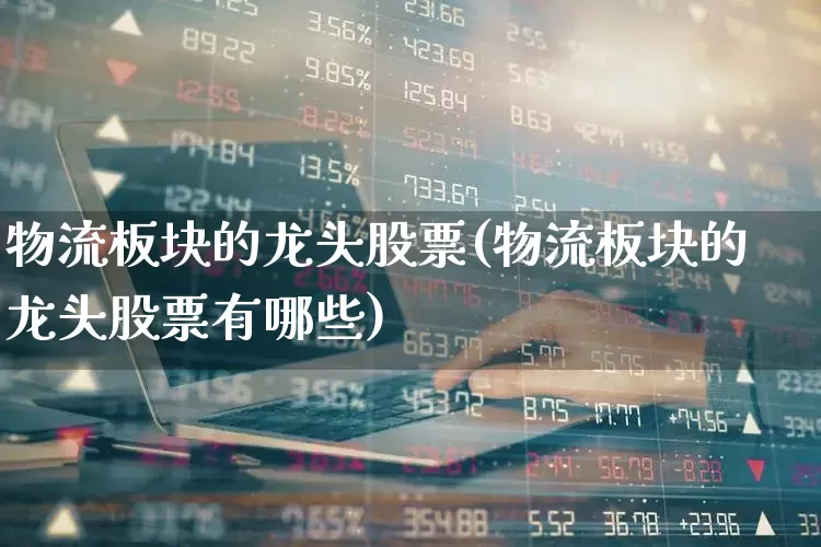 物流板块的龙头股票(物流板块的龙头股票有哪些)_https://www.nalian8.com_科创板_第1张