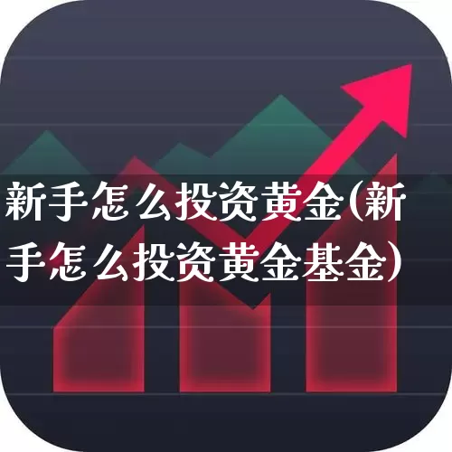 新手怎么投资黄金(新手怎么投资黄金基金)_https://www.nalian8.com_上交所_第1张